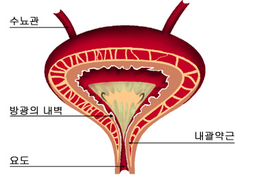 의약품 이미지